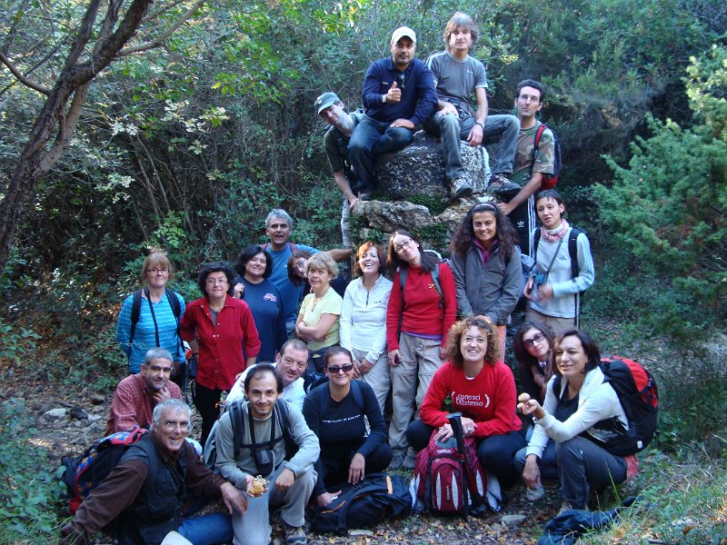 107Macchia MagonaBibbona01112009.JPG